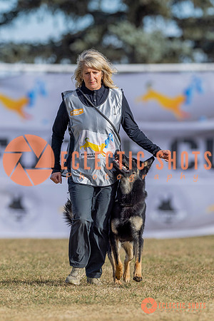2025K9ForceCup-3494