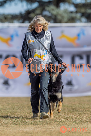2025K9ForceCup-3495