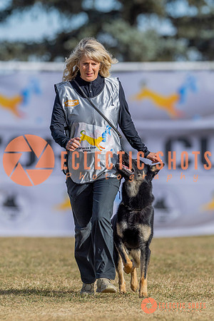 2025K9ForceCup-3505