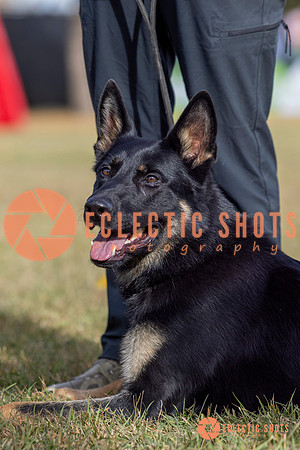 2025K9ForceCup-3522