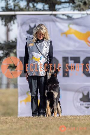 2025K9ForceCup-3563