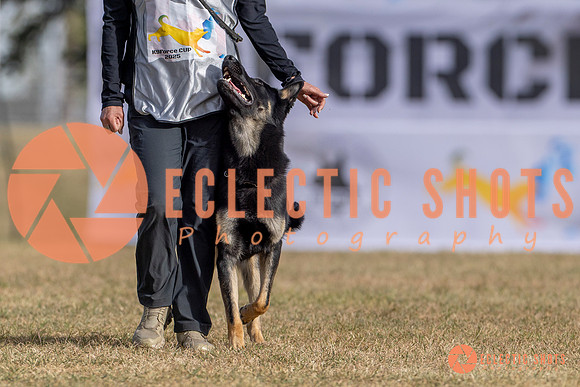 2025K9ForceCup-3576