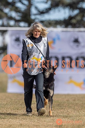 2025K9ForceCup-3582