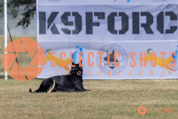 2025K9ForceCup-3613