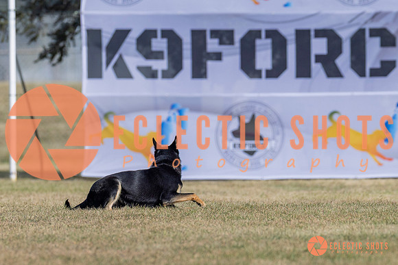 2025K9ForceCup-3610