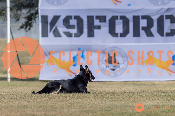 2025K9ForceCup-3616