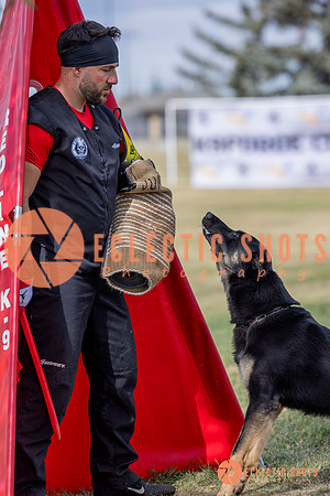 2025K9ForceCup-5259