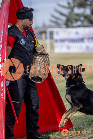 2025K9ForceCup-5261