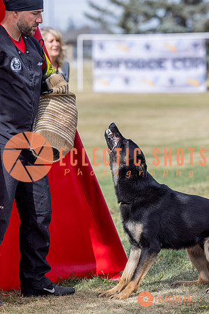 2025K9ForceCup-5275