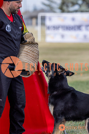 2025K9ForceCup-5288