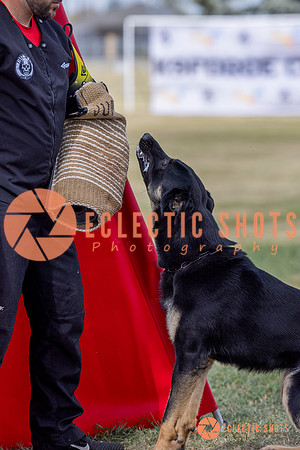 2025K9ForceCup-5289