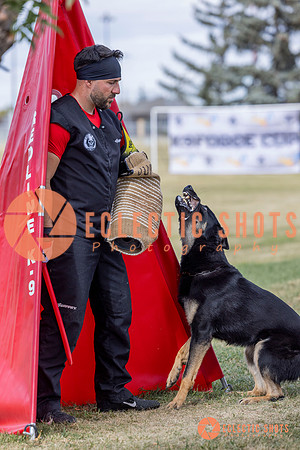 2025K9ForceCup-5313
