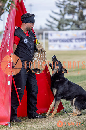 2025K9ForceCup-5312