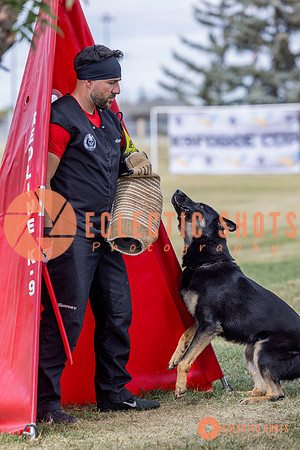 2025K9ForceCup-5314