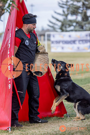 2025K9ForceCup-5315