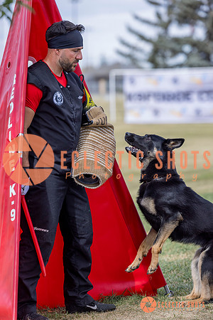 2025K9ForceCup-5316