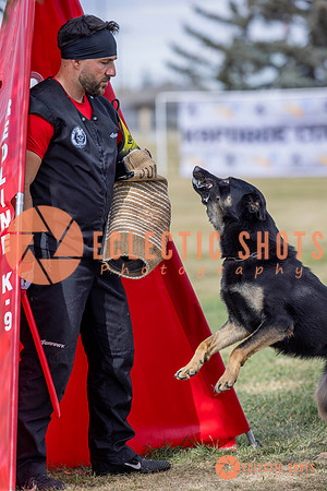 2025K9ForceCup-5324