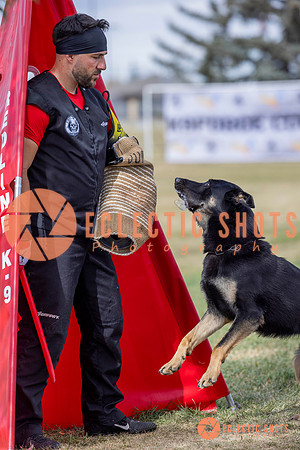2025K9ForceCup-5325