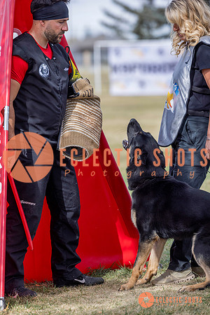 2025K9ForceCup-5327