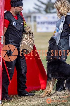 2025K9ForceCup-5329