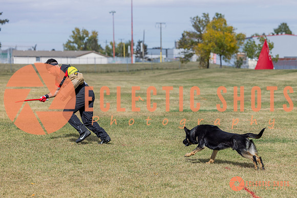 2025K9ForceCup-5344