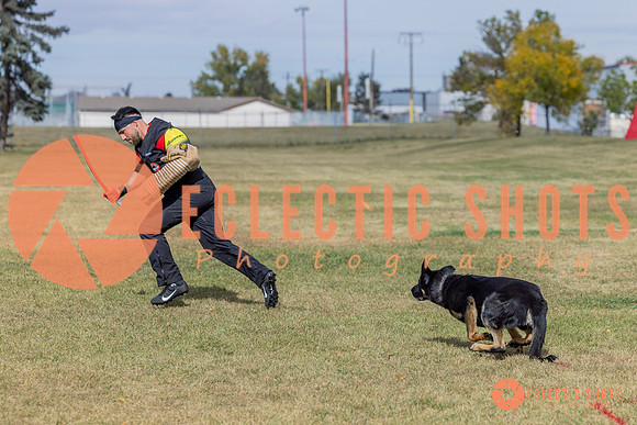 2025K9ForceCup-5346