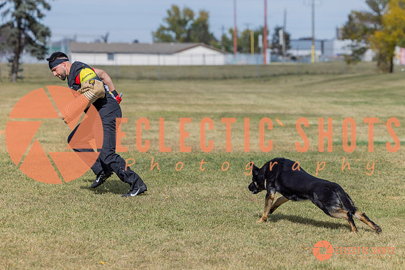 2025K9ForceCup-5349