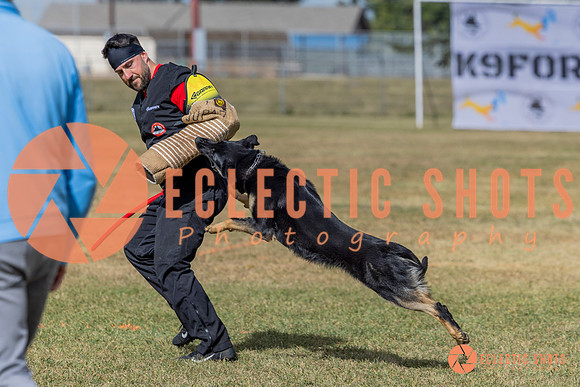 2025K9ForceCup-5367