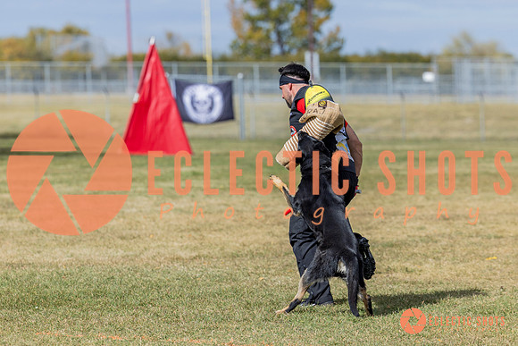 2025K9ForceCup-5376