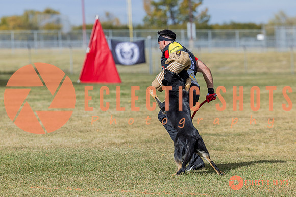 2025K9ForceCup-5377