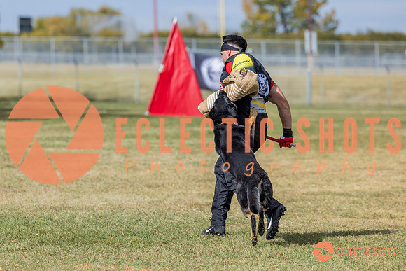 2025K9ForceCup-5379