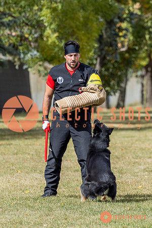 2025K9ForceCup-5398