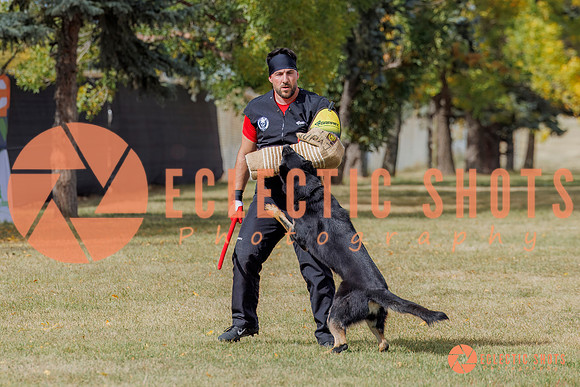 2025K9ForceCup-5390