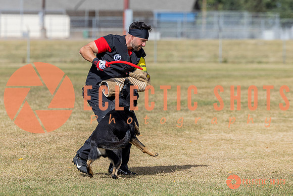 2025K9ForceCup-5409