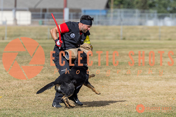 2025K9ForceCup-5411
