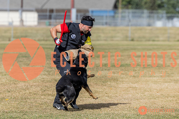 2025K9ForceCup-5410