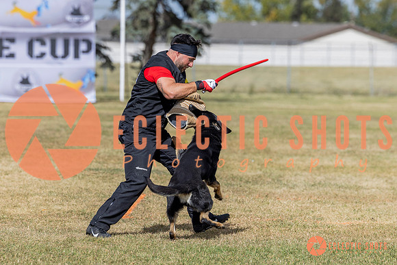 2025K9ForceCup-5416