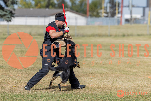 2025K9ForceCup-5419