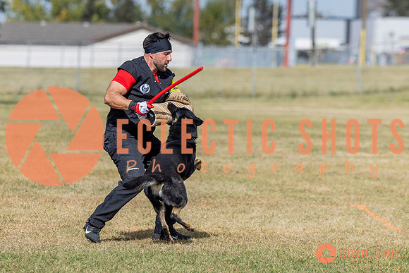 2025K9ForceCup-5421