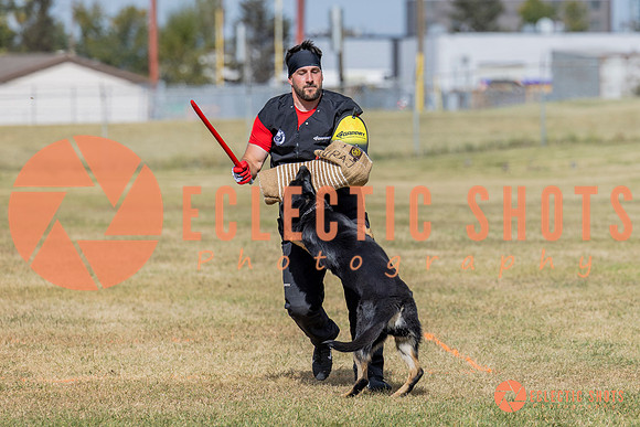 2025K9ForceCup-5422