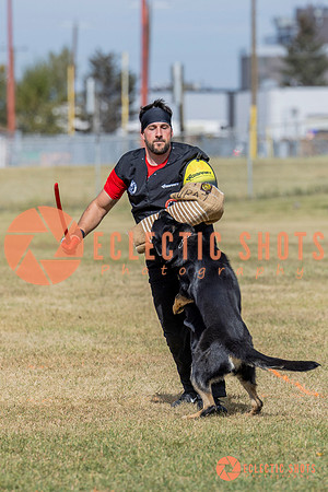 2025K9ForceCup-5424