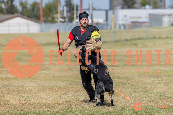 2025K9ForceCup-5423