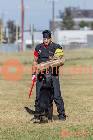 2025K9ForceCup-5430