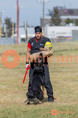 2025K9ForceCup-5431