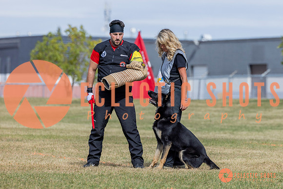 2025K9ForceCup-5437
