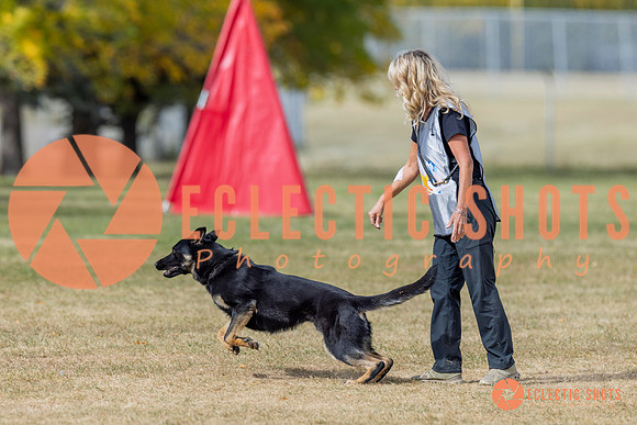 2025K9ForceCup-6593