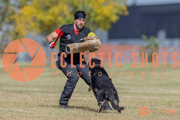 2025K9ForceCup-6609