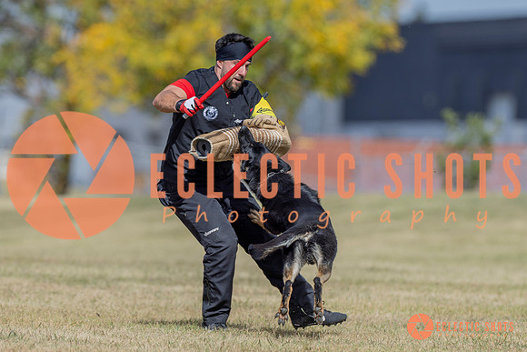 2025K9ForceCup-6611