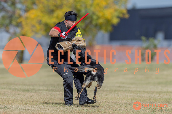 2025K9ForceCup-6612