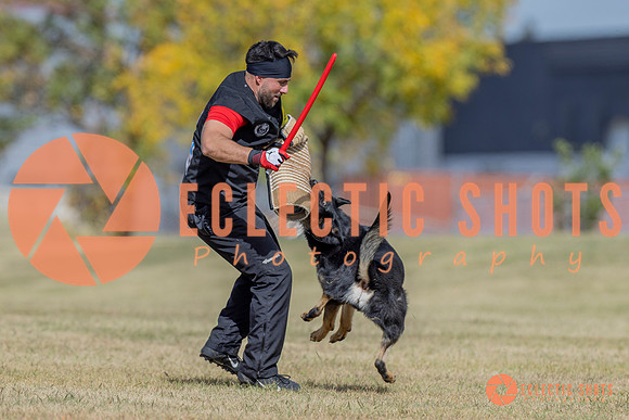 2025K9ForceCup-6614